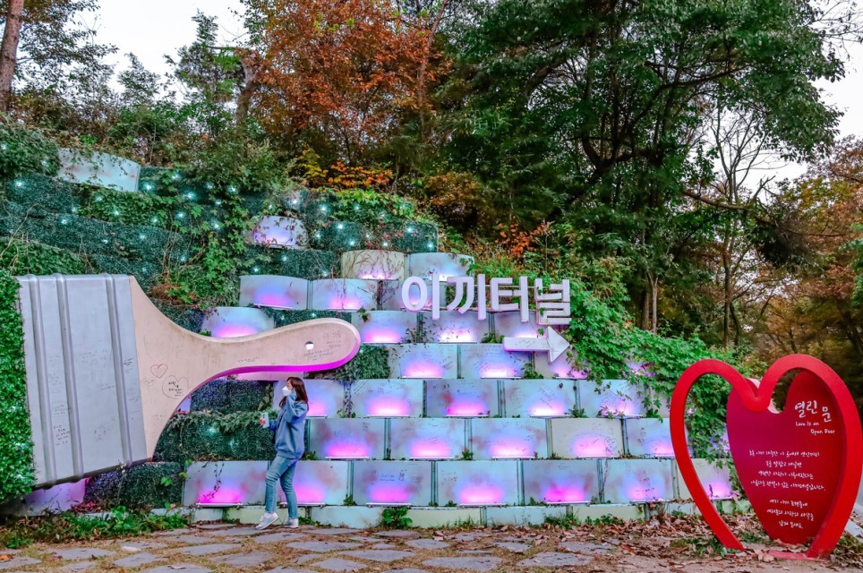 단양-이끼터널-사진