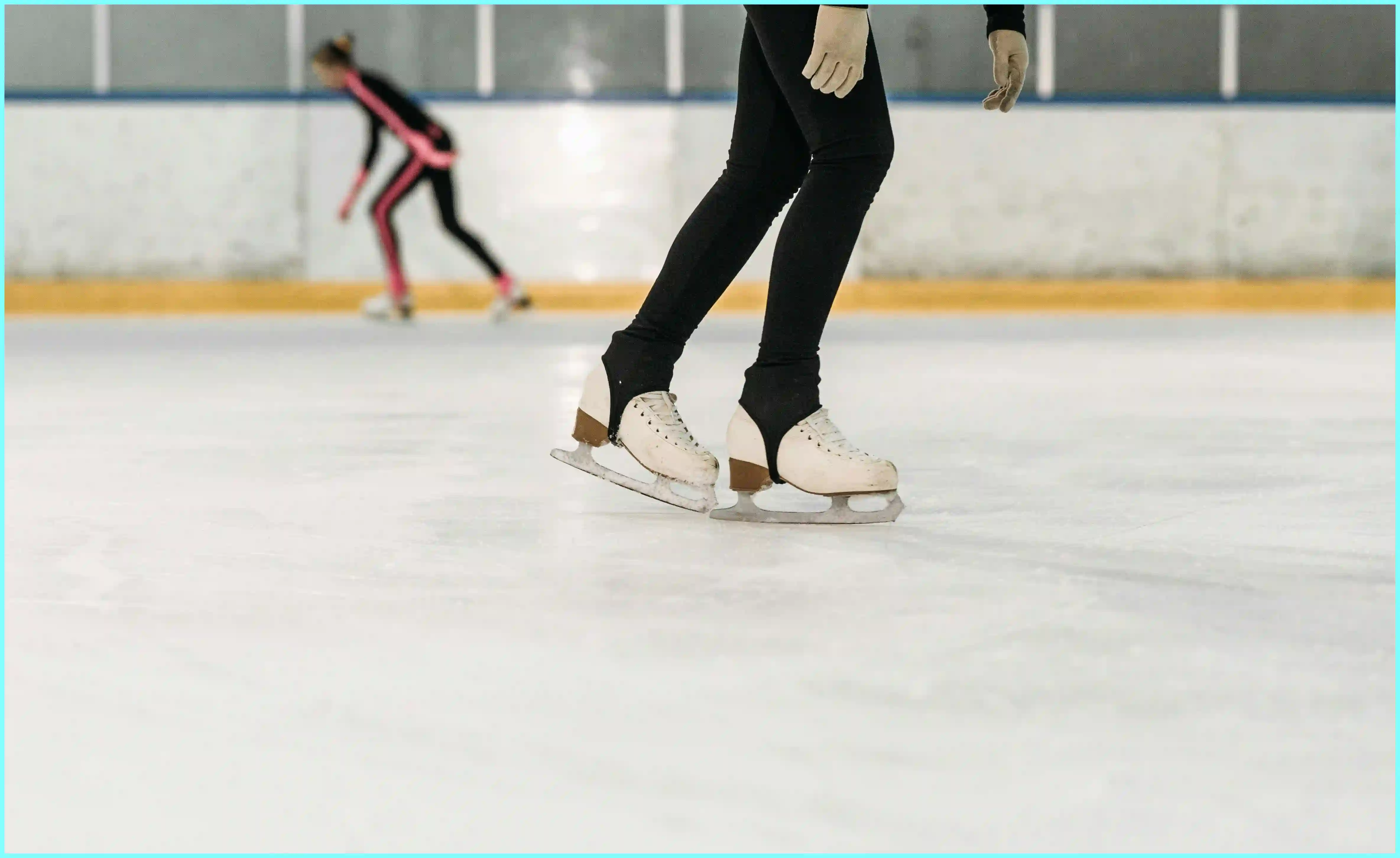 쇼트트랙 월드컵 일정 국가대표 명단 결과 월드 투어 2024-25