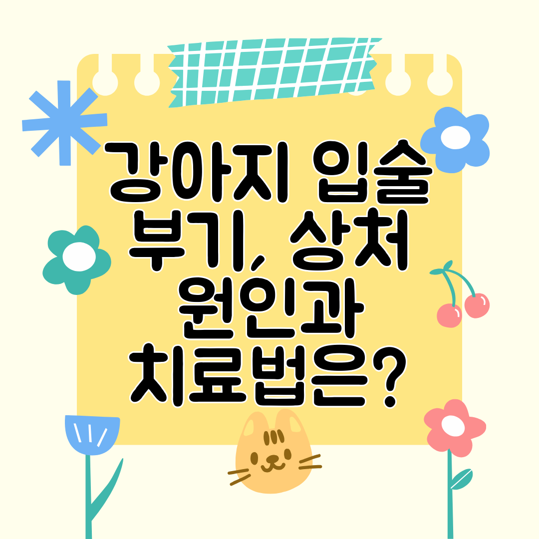 강아지 입술 부기, 상처 원인과 치료법은