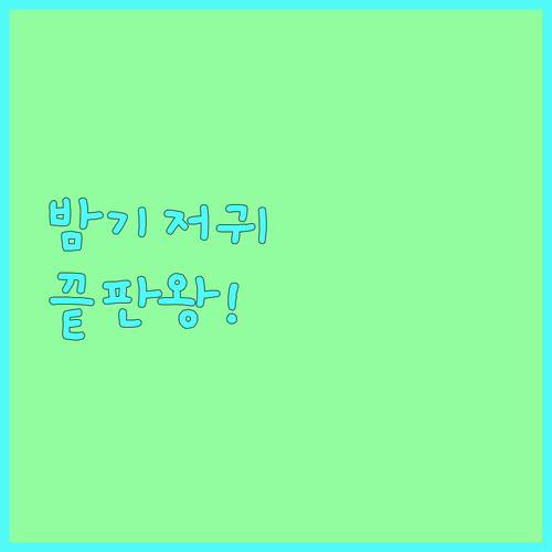 밤기저귀 추천 몰텍스부터 가성비 좋은..