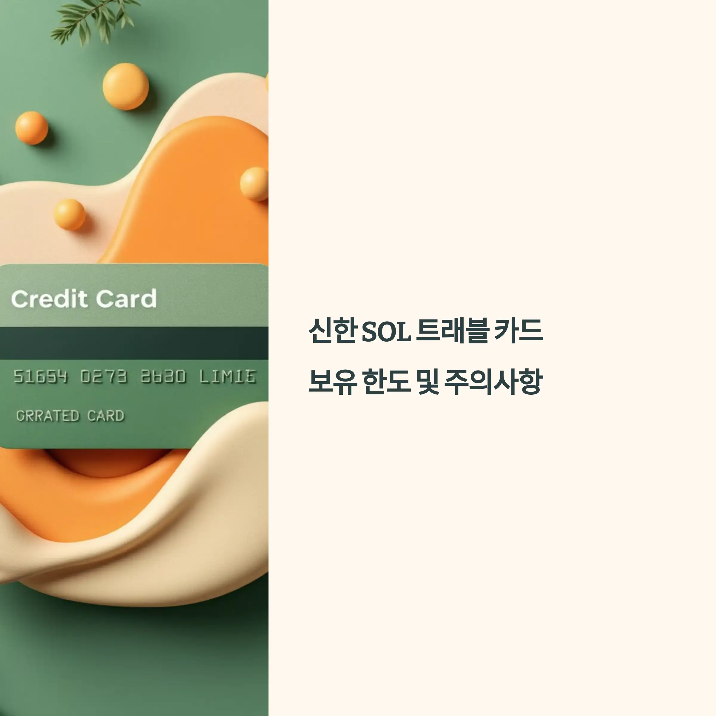 신한쏠트레블카드 보유 한도 및 주의사항