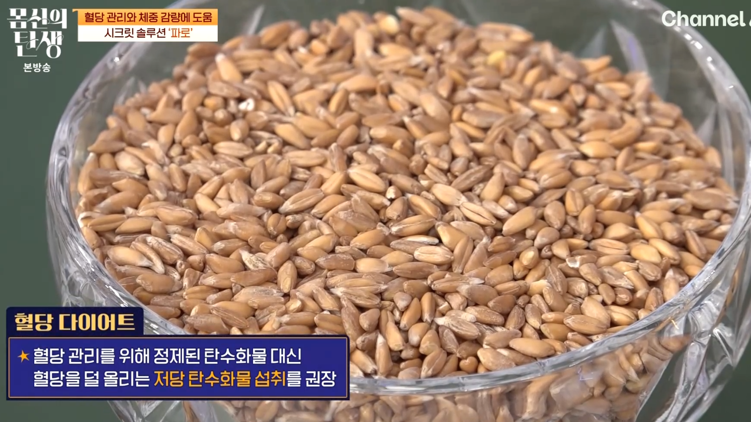 몸신의 탄생 시크릿 솔루션 파로