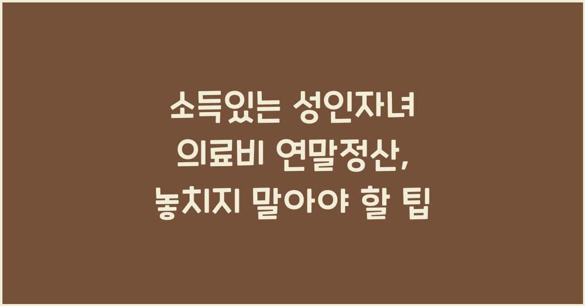 소득있는 성인자녀 의료비 연말정산