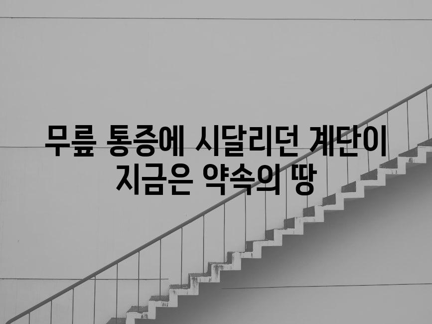 무릎 통증에 시달리던 계단이 지금은 약속의 땅