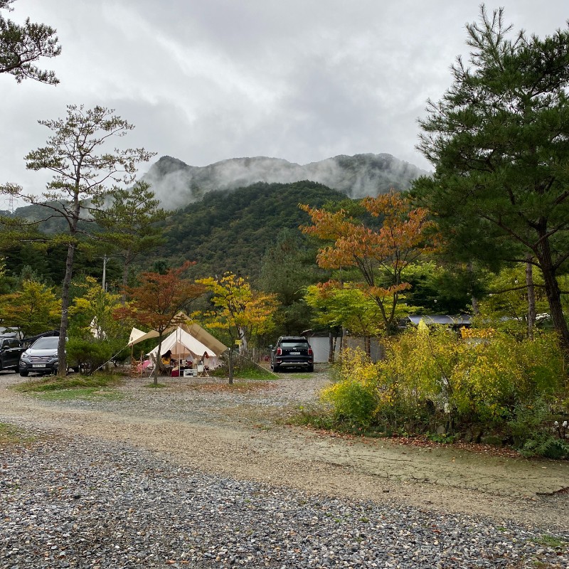 평창 보물섬 캠핑장 풍경