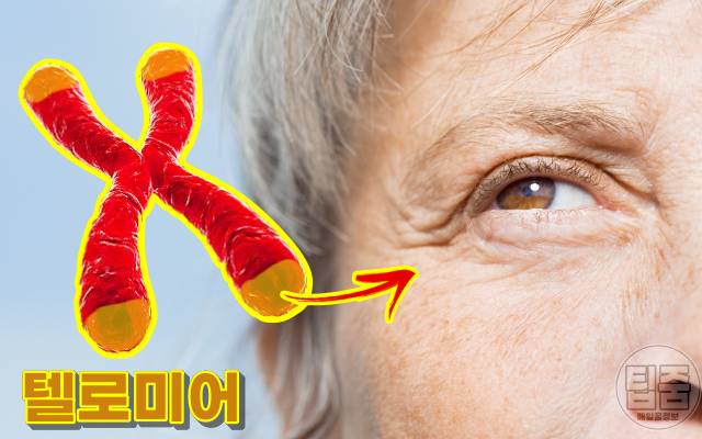 피부노화 원인 식품 피부염증 원인 음식