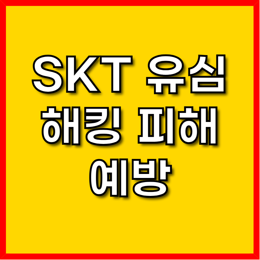 SKT 유심 해킹 피해 예방