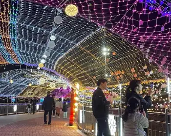 안동 벚꽃축제_12