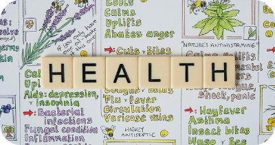 닭가슴살 다이어트 관련사진