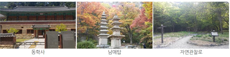 계룡산 등산코스