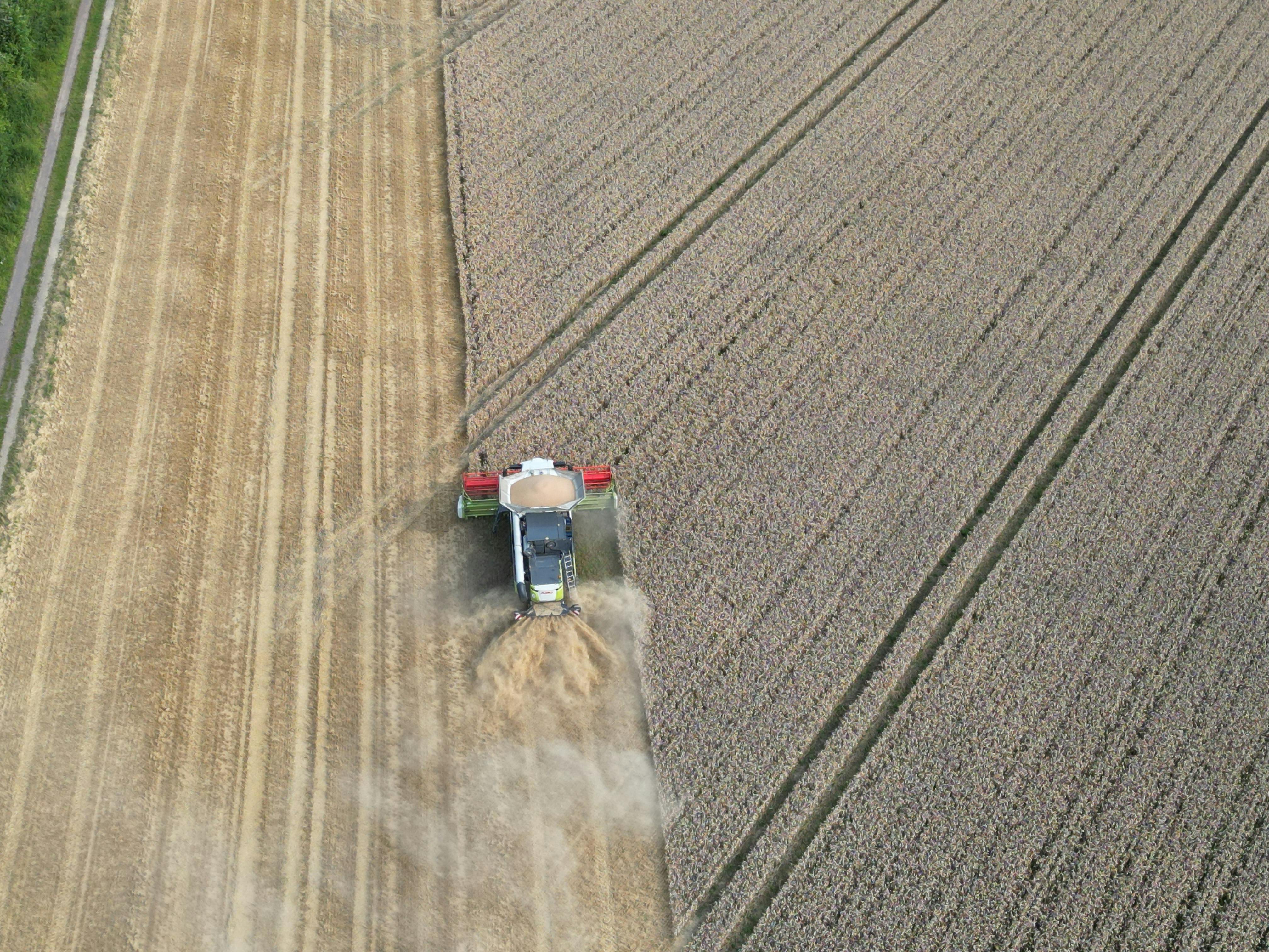 공익직불금 신청자격 및 공익직물제 신청방법&amp;#44; 의무교육