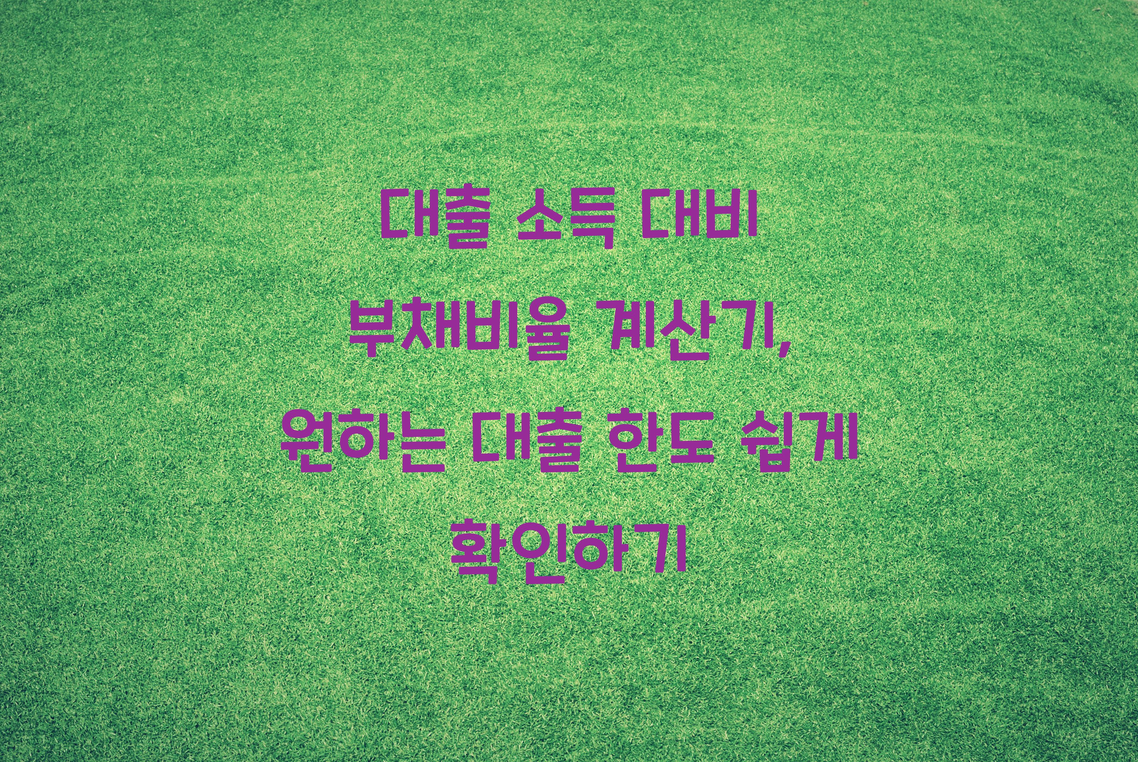 대출 소득 대비 부채비율 계산기