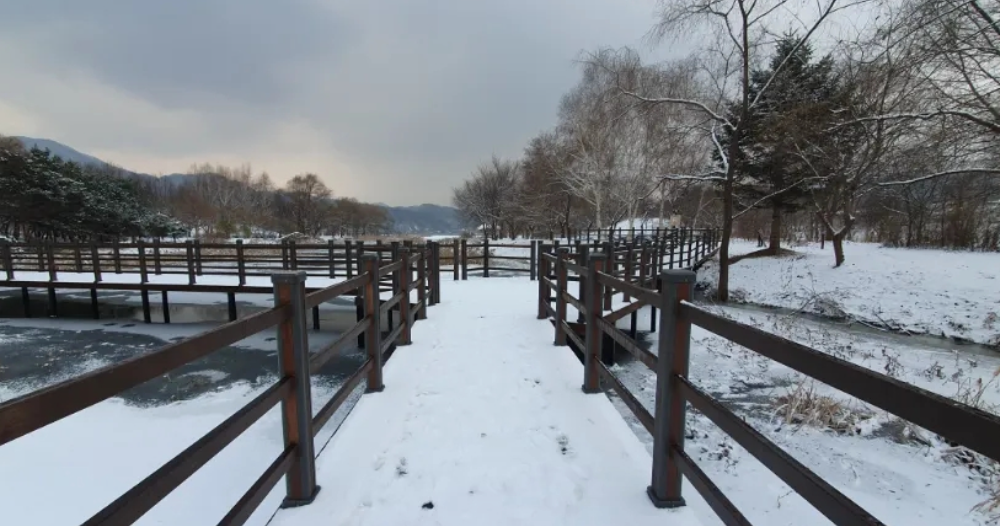 여행-자라섬-서도