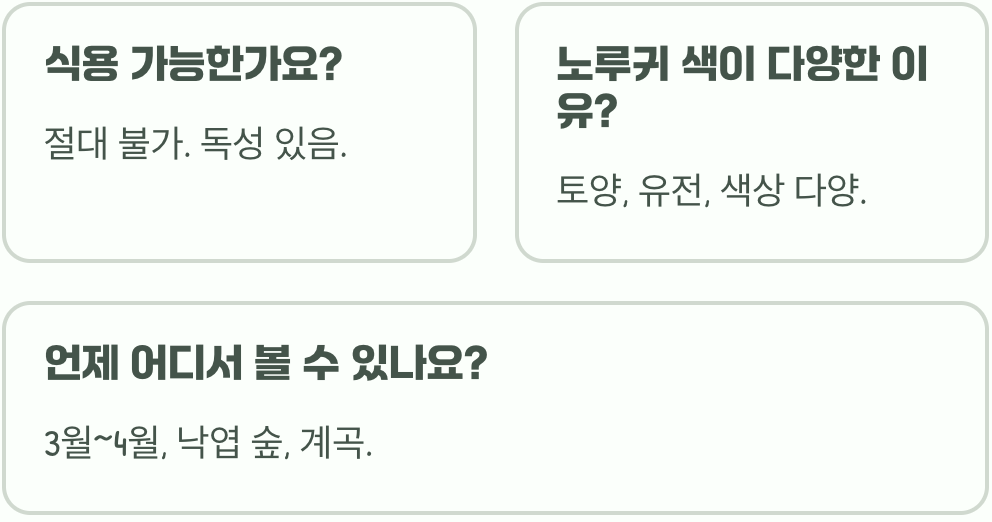 바람꽃과 헷갈리는 노루귀꽃&amp;#44; 잎 모양과 꽃 색깔로 1초 만에 구별하는 법