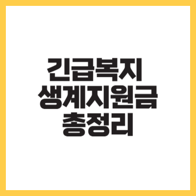 긴급복지 생계지원금 신청,자격,지급일 총정리