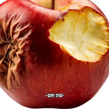 초파리 생기는 이유