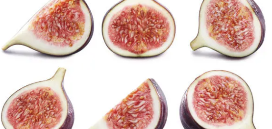 설사가 계속될때 대처방안