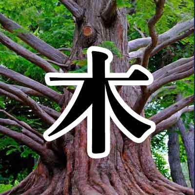 나무 목 (木)