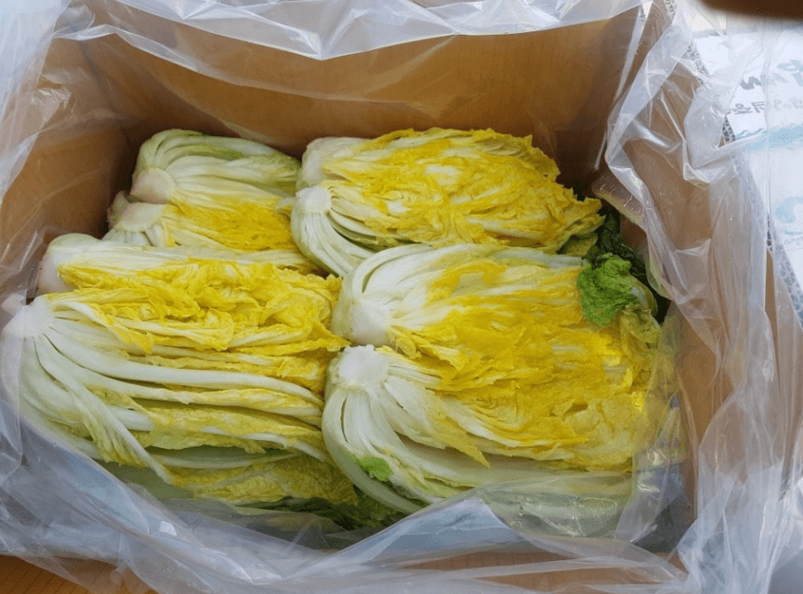 절임배추 고르는 방법 및 구매