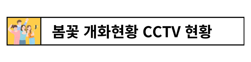 여의도벚꽃축제