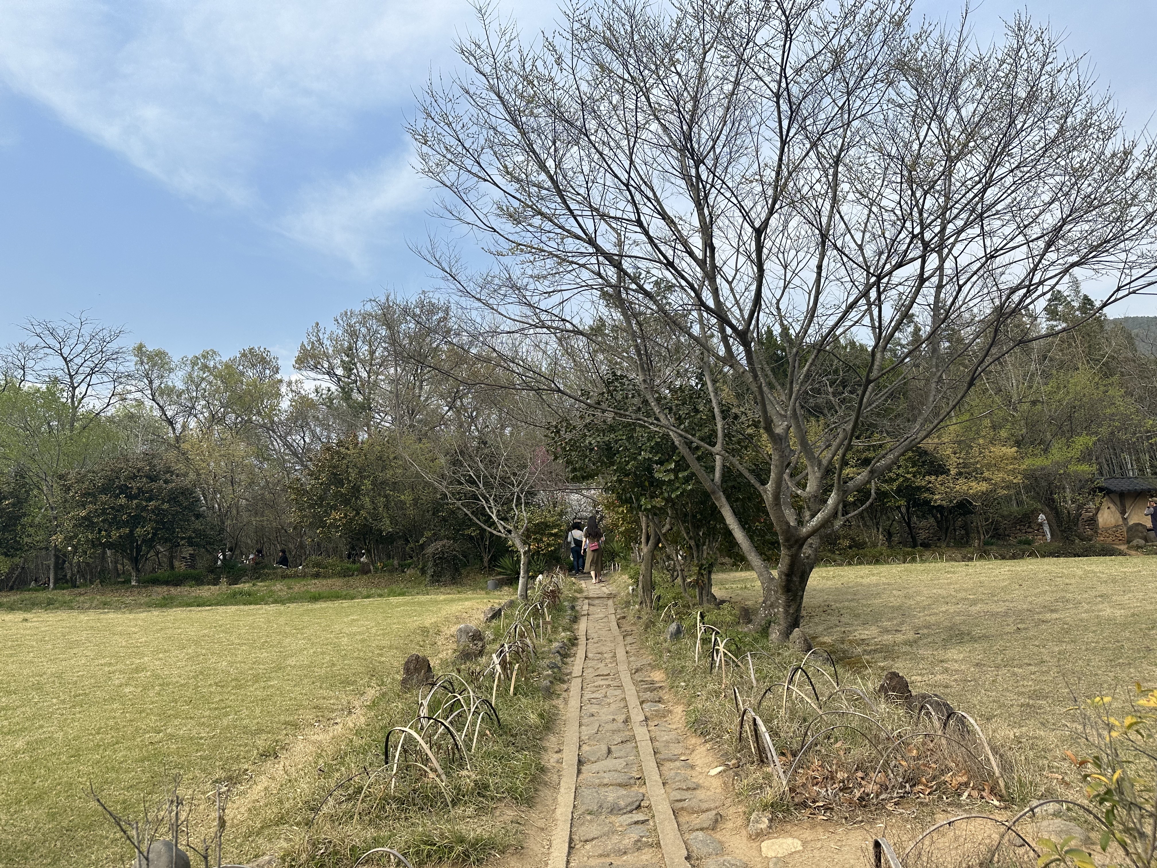 쌍산재 잔디밭