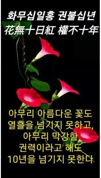 권불십년 화무십일홍 뜻 의미 유래 사용법_18