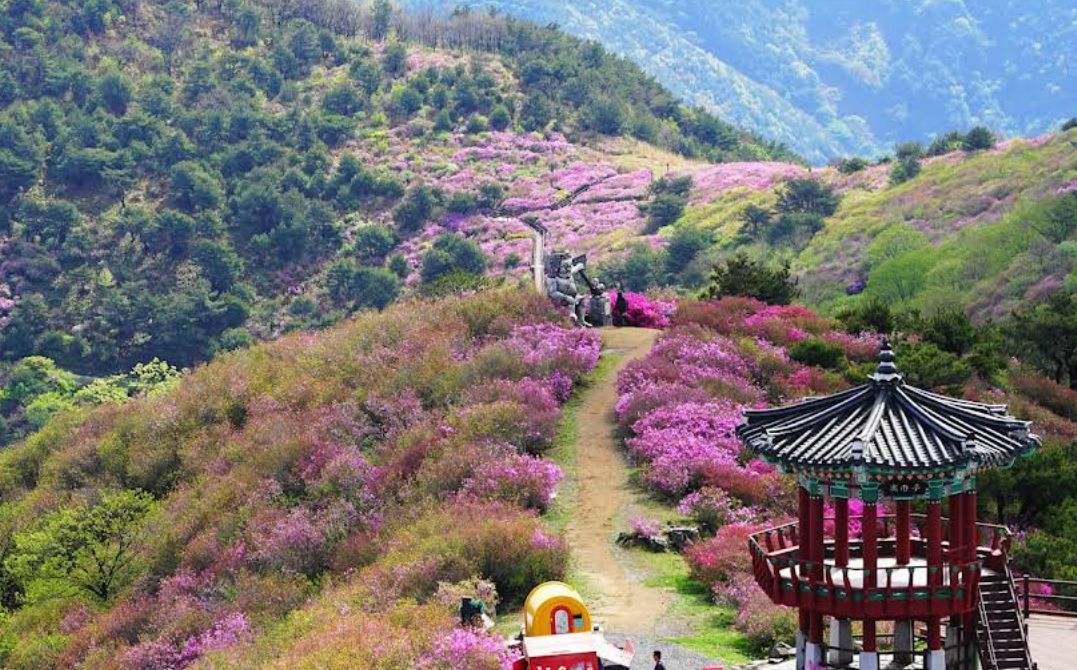 한우산 설화원 