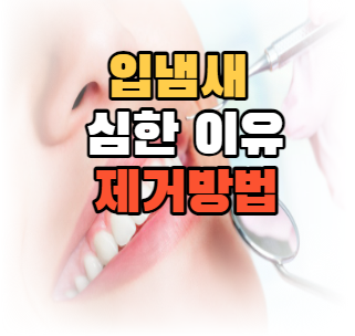 입냄새 제거방법