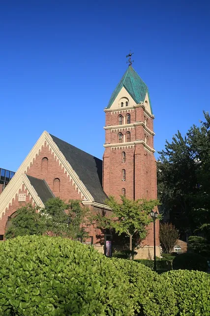 천진암 흰민들레 백양자연관찰로 괭이눈 개화_7