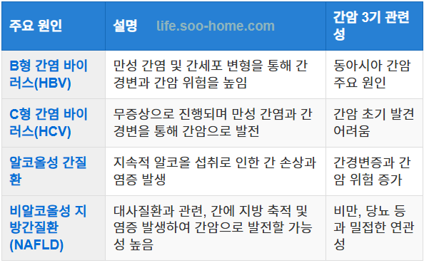 간암의 주요 원인