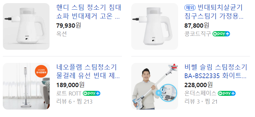 스팀 청소기 빈대