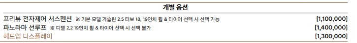 제네시스 G80 개별 옵션