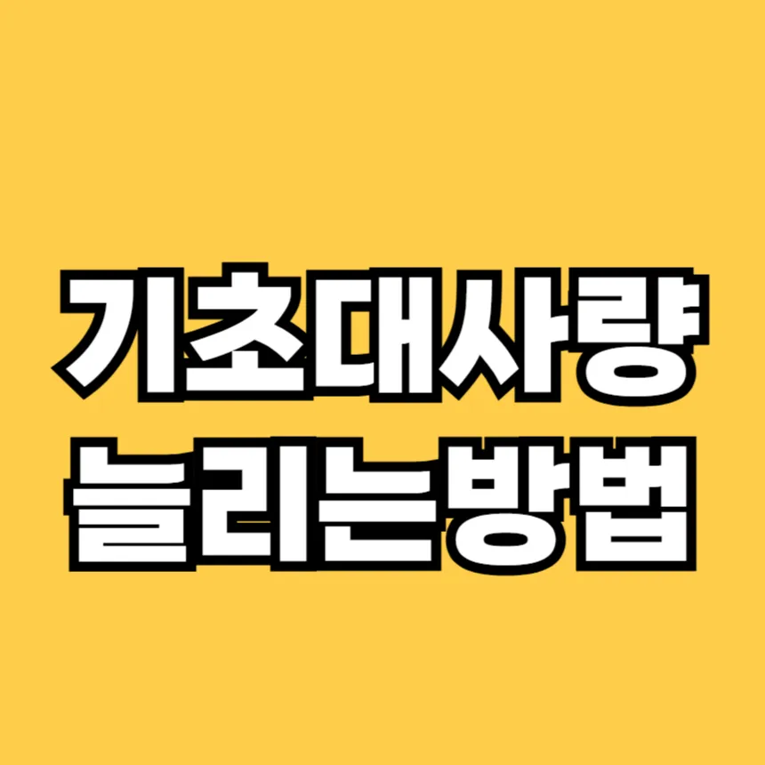 기초대사량 늘리는 방법