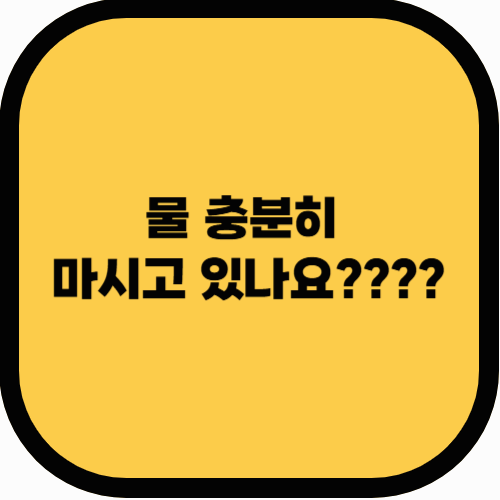 물을 충분히 마시는 것이 중요한 이유와 효과적인 수분 섭취법