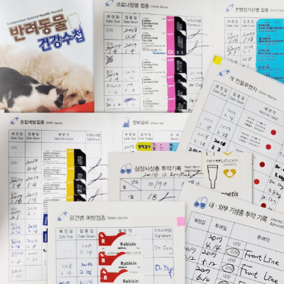 마이 펫 구름의 예방접종 기록 수첩