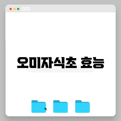 오미자식초 효능
