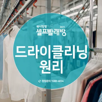 드라이클리닝 표기 확인 집에서 관리와 세탁망 활용법_15