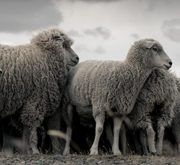 르무통 운동화 매장