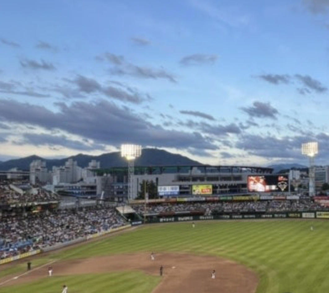 여름 야구 즐기는 법