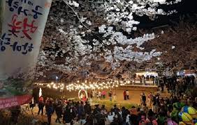 궁거랑 벚꽃축제 기본일정과 프로그램 및 초대가수 소개 (요요미 출연)