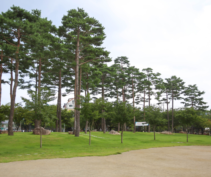 대구 단풍놀이 추천 두 번째: 화랑공원(수성구 만촌동)2
