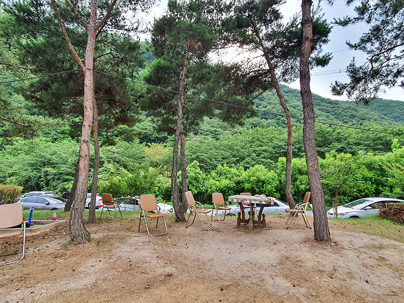 경상북도 영천시 오수파크골프장 소개