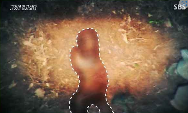 주요 용의자 권씨