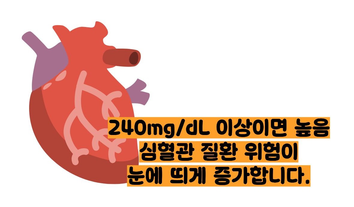 총콜레스테롤 정상수치