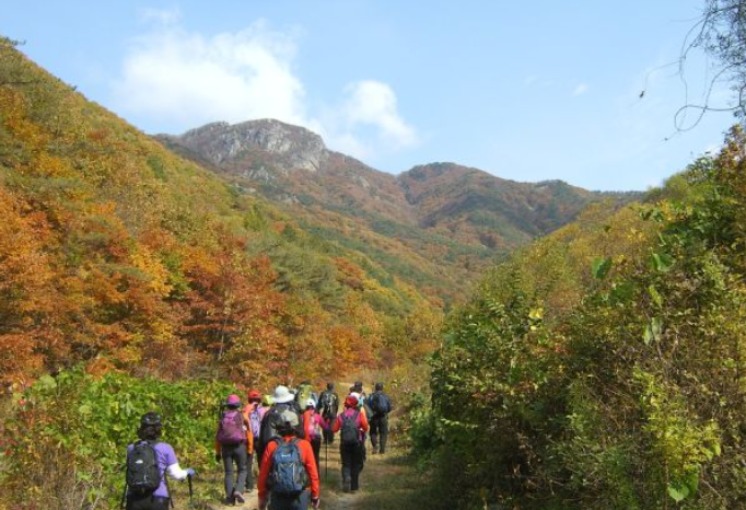 2025 충청도 단풍 명산 코스 추천 ❘ 월악산·계룡산·속리산 절정 시기