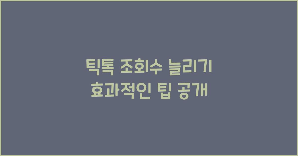 틱톡·조회수늘리기