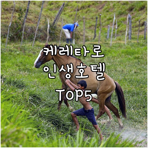 멕시코 케레타로 호텔 추천 5곳 위치..