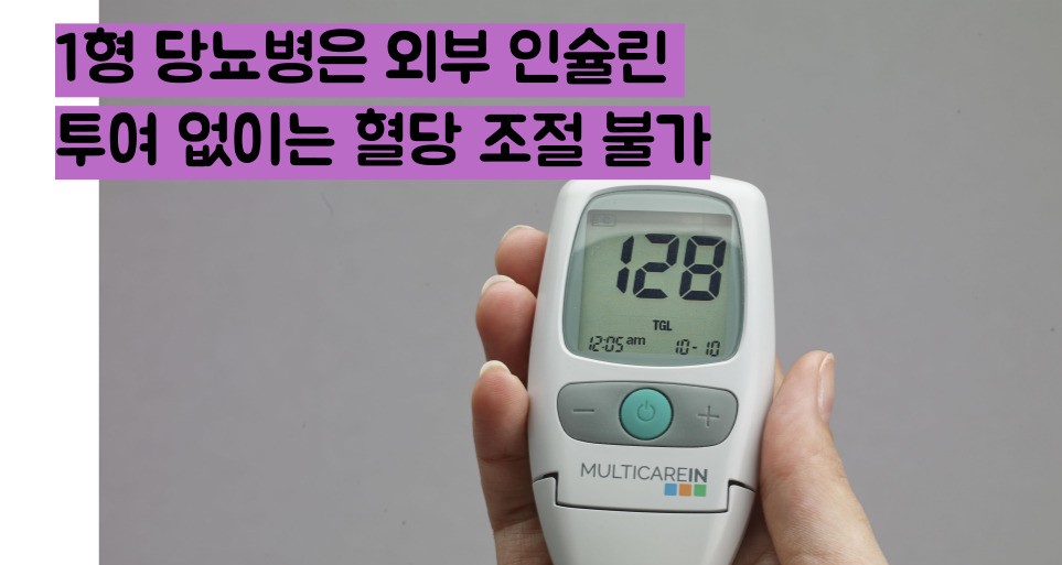 1형당뇨 2형당뇨