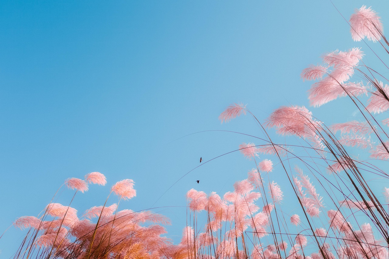 제21편 이중 처리 이론(Dual-Process Theory): 인간 사고는 왜 두 개의 체계로 작동하는가