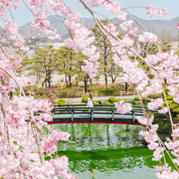 베어트리 파크 봄꽃축제와 관련된 사진
